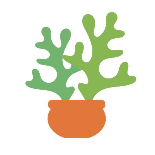 dessert plant