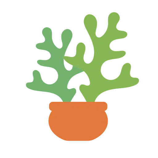 dessert plant