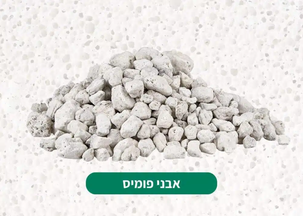 אבני פומיס לסוקולנטים אבני פומיס לסוקולנטים