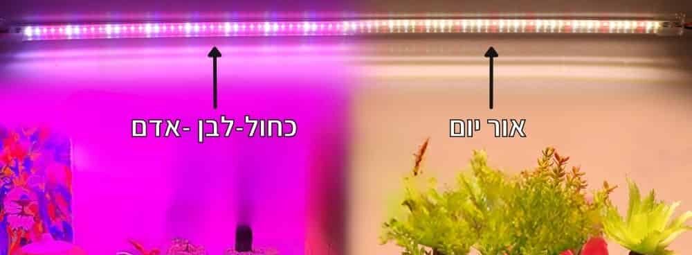 2סוג תאורה בר אור לגידול - 75 נוריות LED בעלות ספקטרום תאורה מלא עם מתג הפעלה