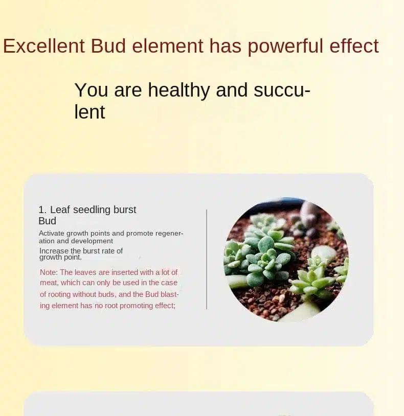 8 8