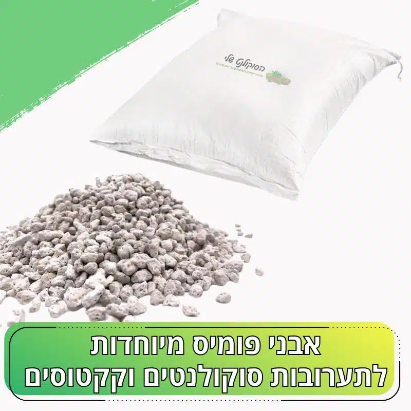 אבני פומיס Pumice stones לתערובת סוקולנטים וקקטוסים אבני פומיס Pumice stones לתערובת סוקולנטים וקקטוסים