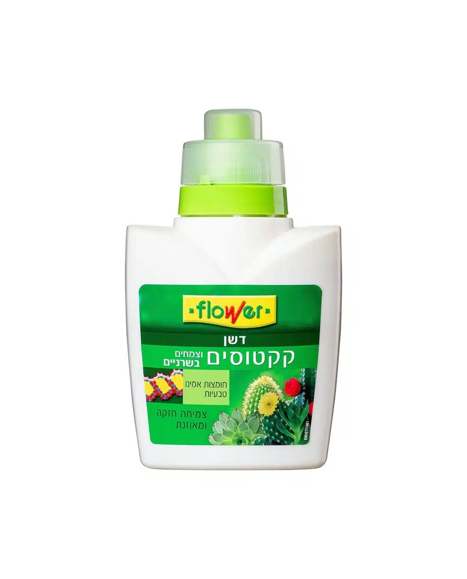 איך לדשן סוקולנטים וקקטוסים דשן מומלץ לסוקולנטים איך לדשן סוקולנטים וקקטוסים דשן מומלץ לסוקולנטים