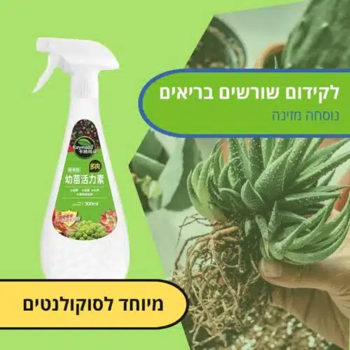 דישון עבור סוקולנטים לקידום שורשים בריאים דישון עבור סוקולנטים לקידום שורשים בריאים