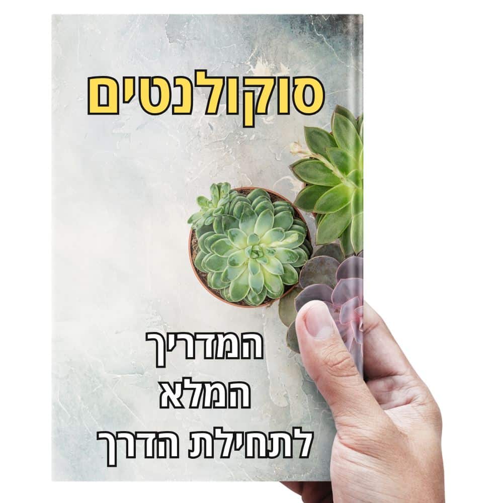 ערכת מתחילים להצלחה עם סוקולנטים - הערכה המושלמת שכוללת הכול !
