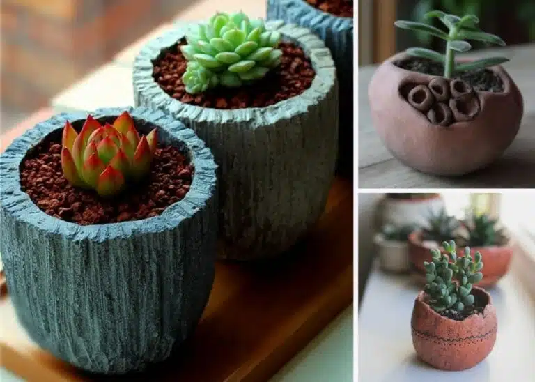 עציצים ייחודיים משלכם באמצעות חימר פולימורי