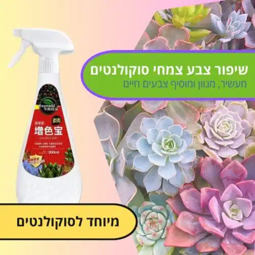 שיפור צבעי סוקולנטים