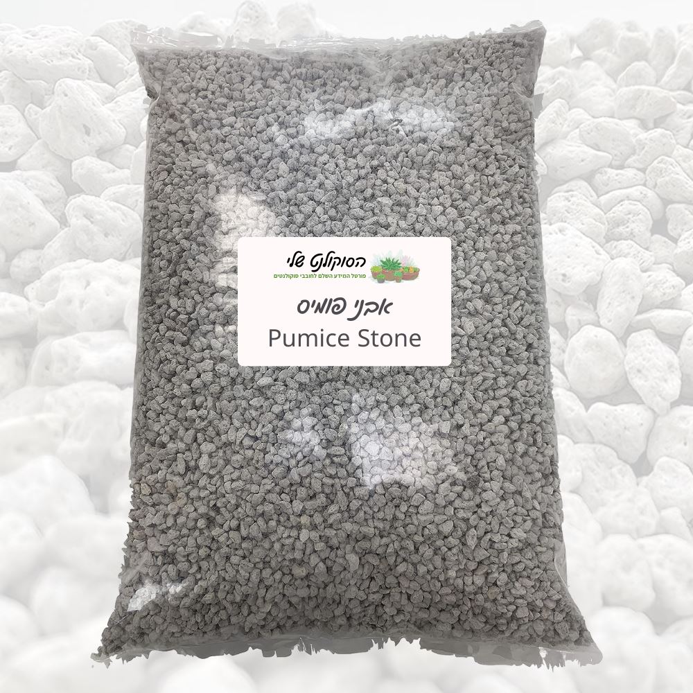 אבני פומיס טבעיות לשתילה או כתוספת למצע - Pumice stone