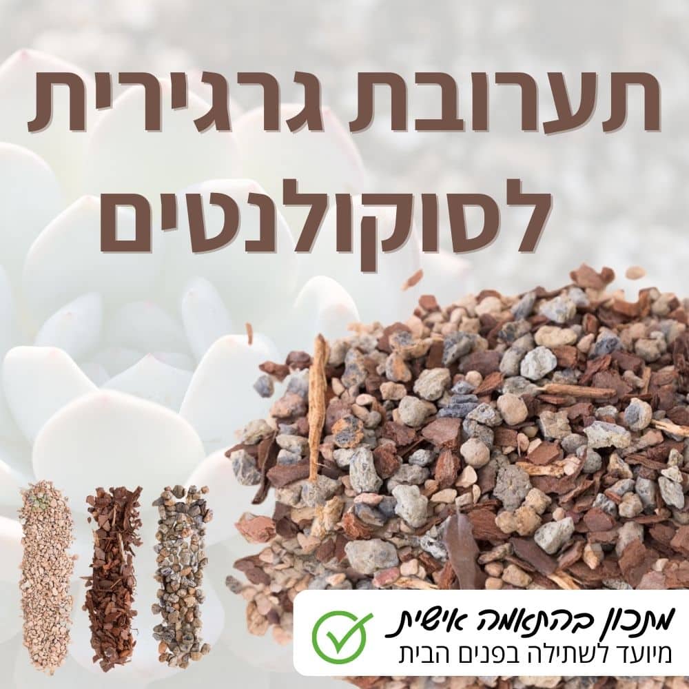 תערובת גרגירית יבשה לצמחים אוהבי מצע יבש לפנים הבית - בעלת ניקוז סופר מהיר