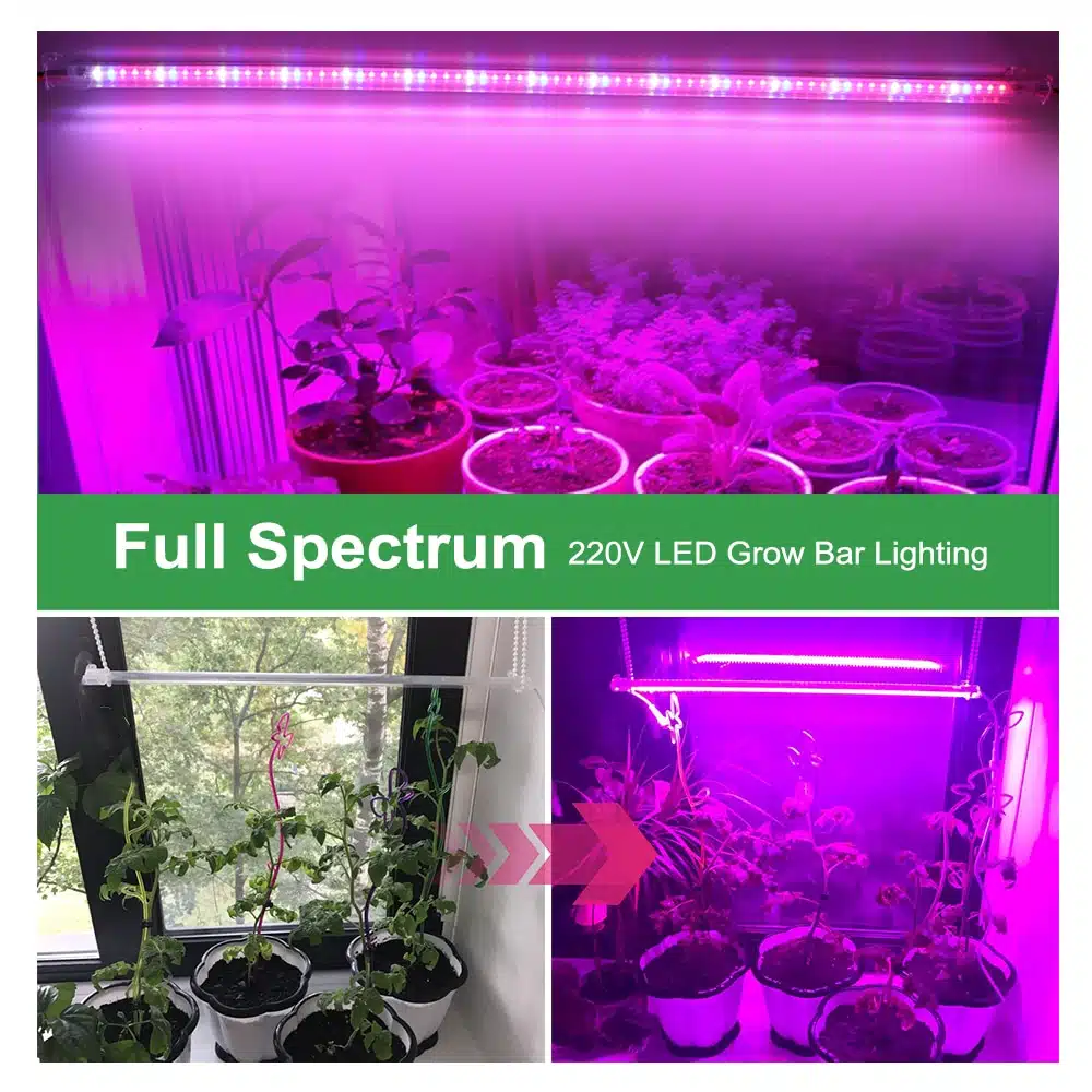 220V-LED-75-50cm-Phytolamp-3.jpg רצועות נורות LED לגידול צמחים - 75 נוריות בעלות ספקטרום אור מלא עם מתג הפעלה
