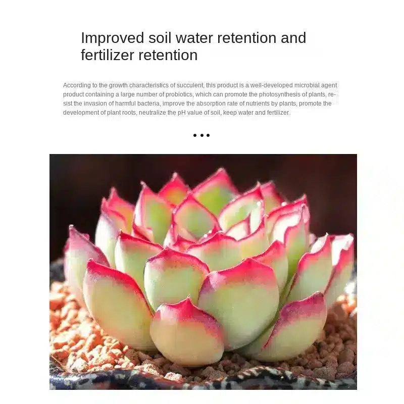Succulent-nutrient-solution-fattening-and-coloring-bursting-rooting-household-indoor-and-outdoor-flower-succulent-fertiliz-1 הדשן המושלם לסוקולנטים פורחים ובריאים 525 מל - ייבוא מיוחד !