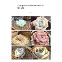 Succulent-nutrient-solution-fattening-and-coloring-bursting-rooting-household-indoor-and-outdoor-flower-succulent-fertiliz-2 הדשן המושלם לסוקולנטים פורחים ובריאים 525 מל - ייבוא מיוחד !