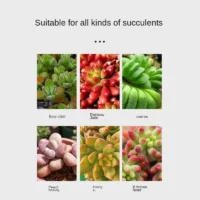Succulent-nutrient-solution-fattening-and-coloring-bursting-rooting-household-indoor-and-outdoor-flower-succulent-fertiliz-3 הדשן המושלם לסוקולנטים פורחים ובריאים 525 מל - ייבוא מיוחד !