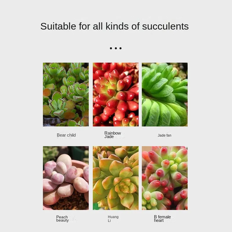 Succulent-nutrient-solution-fattening-and-coloring-bursting-rooting-household-indoor-and-outdoor-flower-succulent-fertiliz-3 הדשן המושלם לסוקולנטים פורחים ובריאים 525 מל - ייבוא מיוחד !