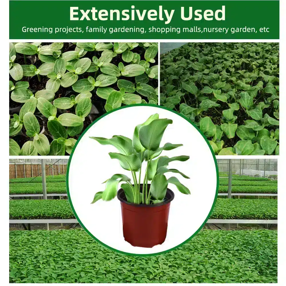7-Size-Plastic-Nursery-Flowers-Pots-Nutrition-Grow-Bowl-Seedling-Tray-for-Garden-Desktop-Potted-Nursery-5.webp עציצי שתילה גמישים מפלסטיק לשימוש רב-פעמי - עם חורי ניקוז להנבטה, זריעה והעתקת שתילים | 50/100 יחידות במגוון גדלים לבחירה