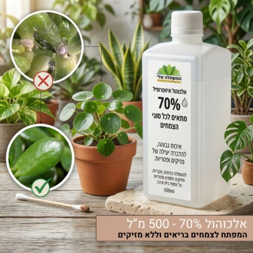 אלכוהול 70% לחיטוי וטיפול בצמחים