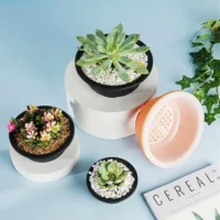 Plastic-Round-Succulent-Flower-Pots-New-Chunky-Korean-style-Large-Succulent-Pot-Degradable-Corrosion-resistant-Textured-1 עציצי סוקולנטים עגולים פלסטיק בסגנון קוריאני, גדולים ועבים, בטקסטורה מיוחדת, עמידים וידידותיים לסביבה