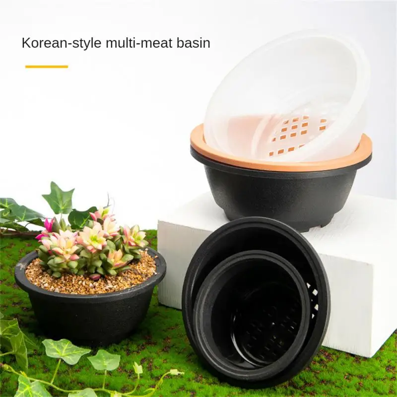 Plastic-Round-Succulent-Flower-Pots-New-Chunky-Korean-style-Large-Succulent-Pot-Degradable-Corrosion-resistant-Textured-2 עציצי סוקולנטים עגולים פלסטיק בסגנון קוריאני, גדולים ועבים, בטקסטורה מיוחדת, עמידים וידידותיים לסביבה