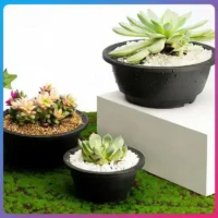 Plastic-Round-Succulent-Flower-Pots-New-Chunky-Korean-style-Large-Succulent-Pot-Degradable-Corrosion-resistant-Textured עציצי סוקולנטים עגולים פלסטיק בסגנון קוריאני, גדולים ועבים, בטקסטורה מיוחדת, עמידים וידידותיים לסביבה