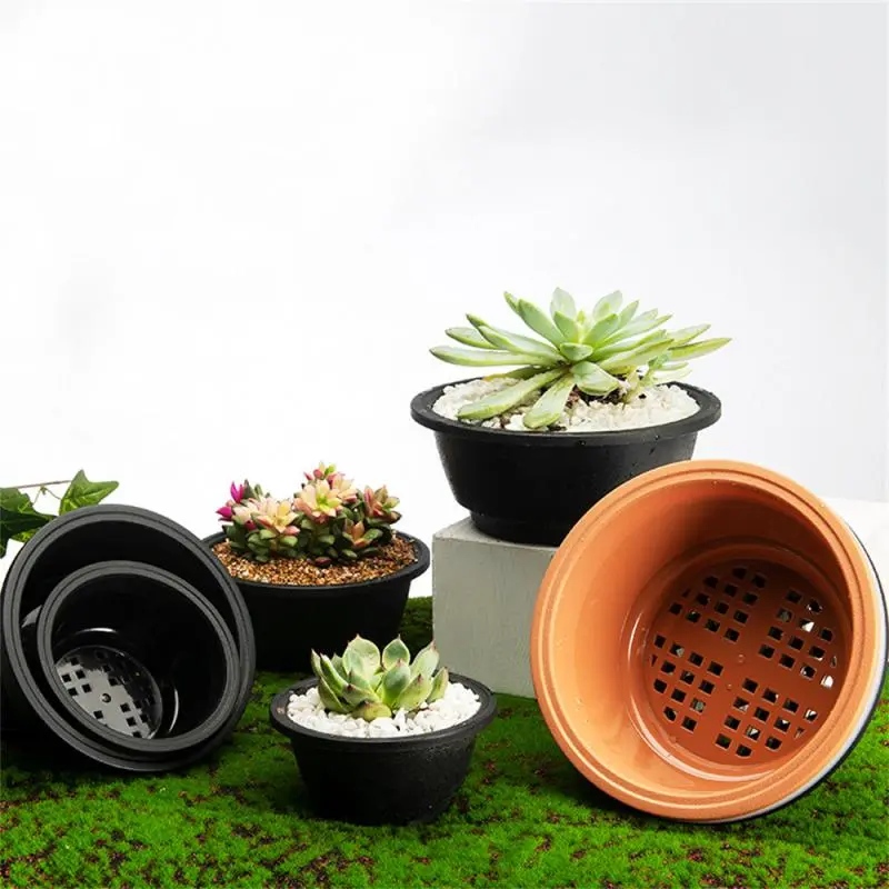 Plastic-Round-Succulent-Flower-Pots-New-Chunky-Korean-style-Large-Succulent-Pot-Degradable-Corrosion-resistant-Textured-3 עציצי סוקולנטים עגולים פלסטיק בסגנון קוריאני, גדולים ועבים, בטקסטורה מיוחדת, עמידים וידידותיים לסביבה