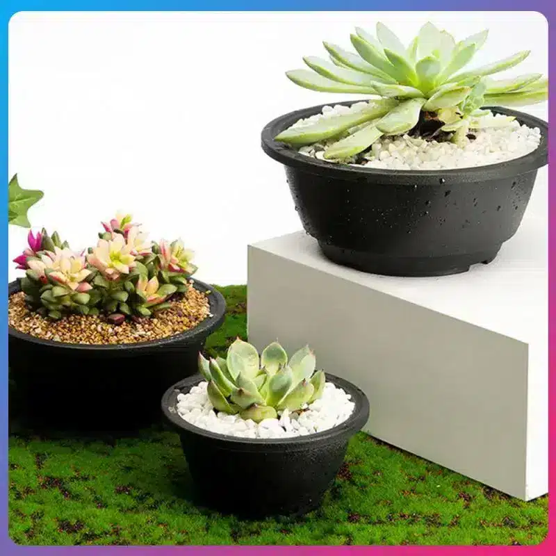 Plastic-Round-Succulent-Flower-Pots-New-Chunky-Korean-style-Large-Succulent-Pot-Degradable-Corrosion-resistant-Textured עציצי סוקולנטים עגולים פלסטיק בסגנון קוריאני, גדולים ועבים, בטקסטורה מיוחדת, עמידים וידידותיים לסביבה