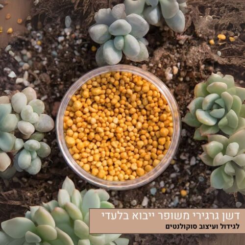 דשן גרגירי משופר לגידול ועיצוב סוקולנטים