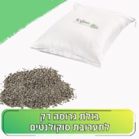 בזלת גרוסה דק לתערובת סוקולנטים