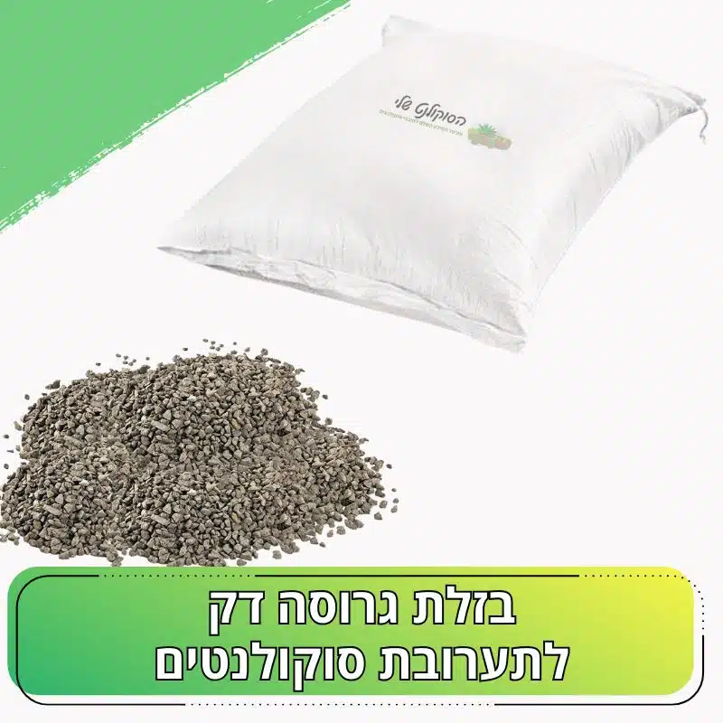 בזלת גרוסה דק לתערובת סוקולנטים בזלת גרוסה דק לתערובת סוקולנטים