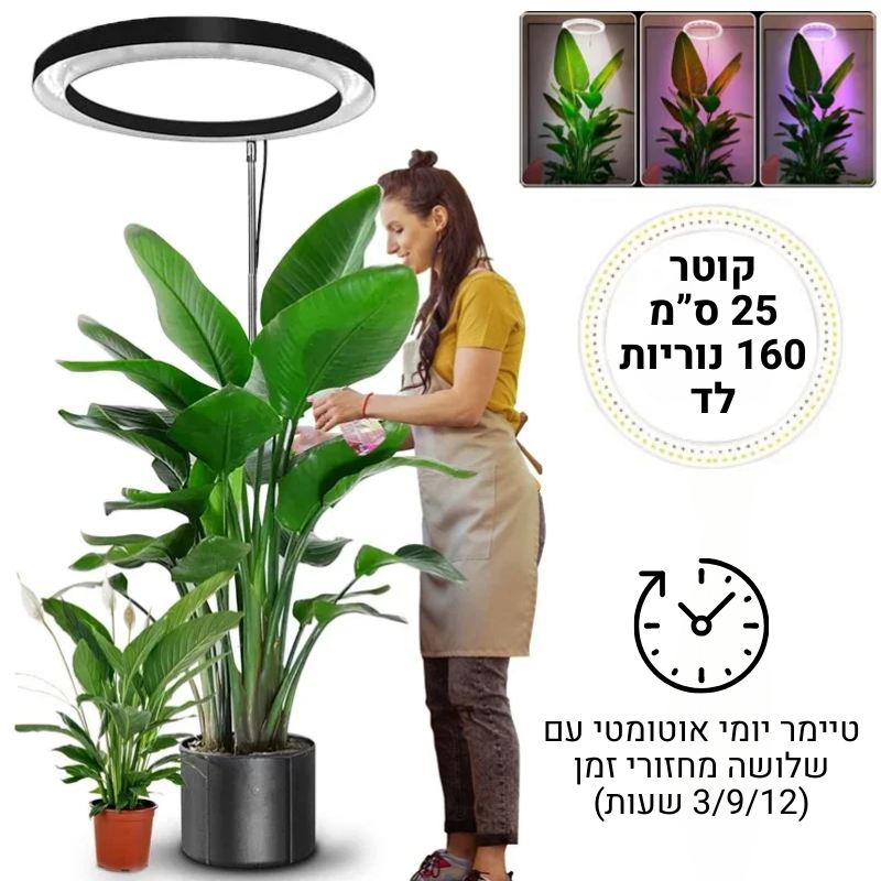 מנורת LED גדולה וגבוהה קוטר 25-1