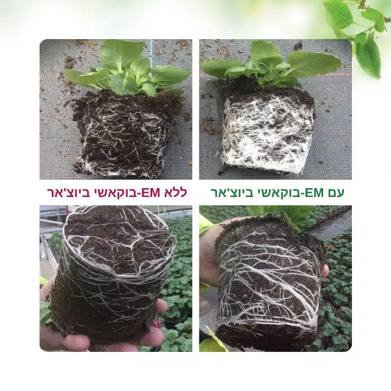 EM-בוקאשי ביוצ'אר 3 EM-בוקאשי ביוצ'אר 3