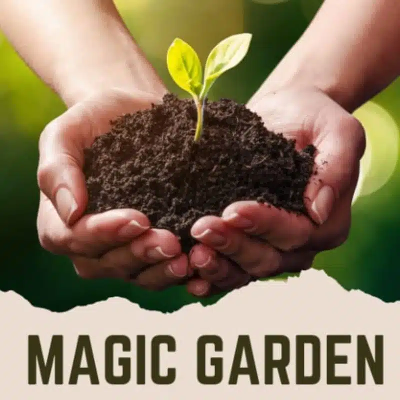 Magic Garden – תוסף ביודינמי לגינה 3 Magic Garden – תוסף ביודינמי לגינה 3