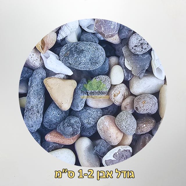 אבנים מהכנרת גדול 1-2 סמ