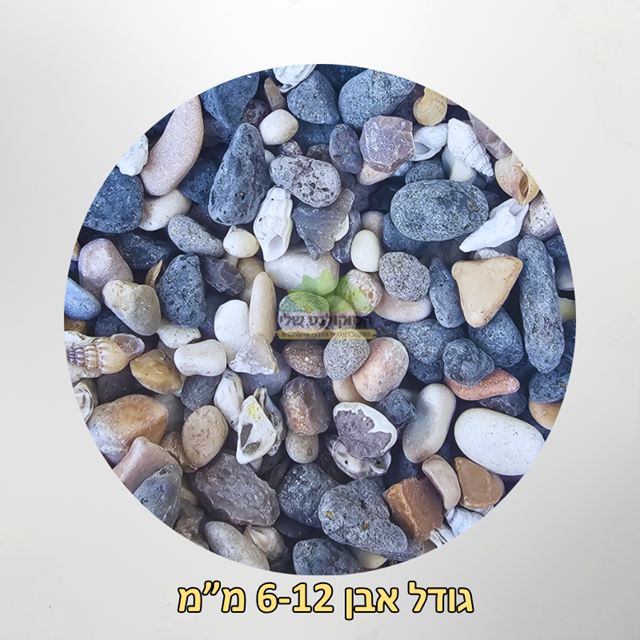 אבנים מהכנרת גדול 6-12 ממ