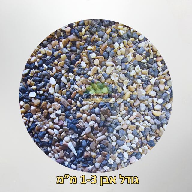 אבנים מהכנרת גודל סומסומית