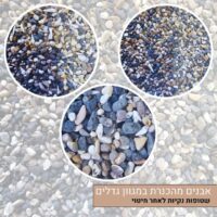 אבנים מהכנרת מגוון גדלים