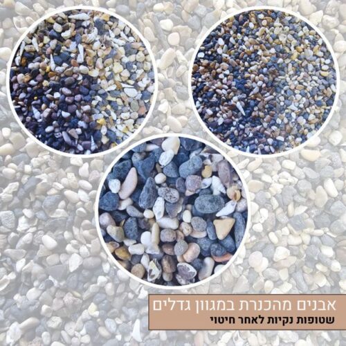 אבנים מהכנרת מגוון גדלים