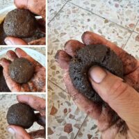 אדמת-טרריום-נדבקת.jpg אדמת טרריום נדבקת