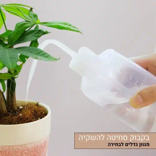 בקבוק סחיטה להשקיית סוקולנטים קקטוסים וצמחים במגוון גדלים בקבוק סחיטה להשקיית סוקולנטים קקטוסים וצמחים במגוון גדלים