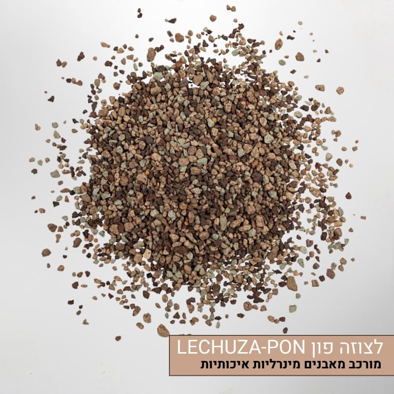 לצוזה פון LECHUZA-PON לצוזה פון LECHUZA-PON