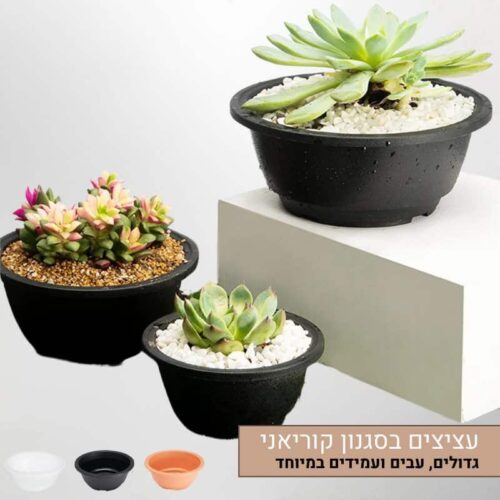 עציצי סוקולנטים עגולים פלסטיק בסגנון קוריאני, גדולים ועבים, בטקסטורה מיוחדת, עמידים וידידותיים לסביבה