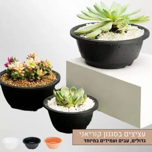 עציצי סוקולנטים עגולים פלסטיק בסגנון קוריאני, גדולים ועבים, בטקסטורה מיוחדת, עמידים וידידותיים לסביבה עציצי סוקולנטים עגולים פלסטיק בסגנון קוריאני, גדולים ועבים, בטקסטורה מיוחדת, עמידים וידידותיים לסביבה
