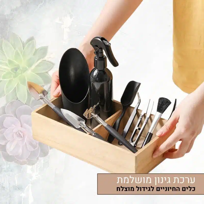 ערכת גינון מושלמת לסוקולנטים – הכלים החיוניים לגידול מוצלח 5_8_13 חלקים ערכת גינון מושלמת לסוקולנטים - הכלים החיוניים לגידול מוצלח 5_8_13 חלקים