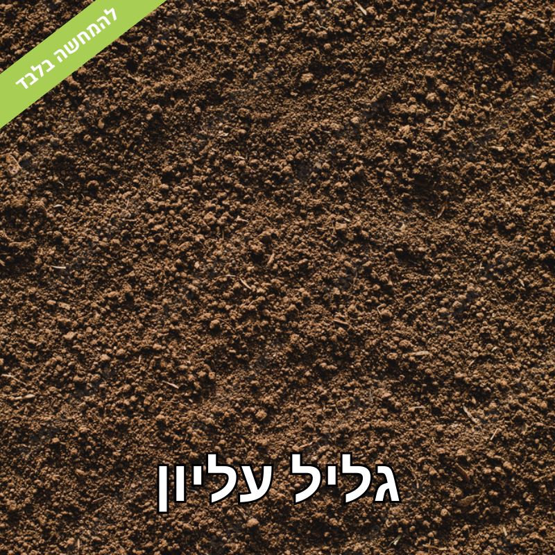 תערובת אדמת טרריום נדבקת לזכוכית אדמת יער משובחת - קרקע יער טבעית מהגליל העליון ורמת הגולן