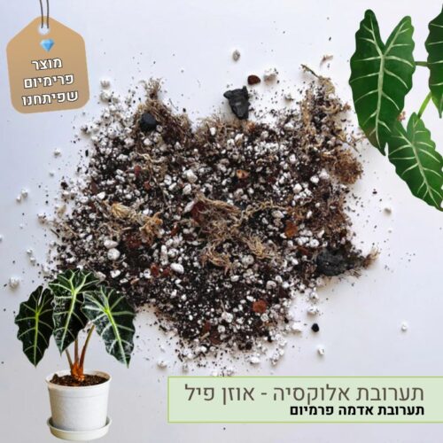 תערובת אלוקסיה - אוזן פיל