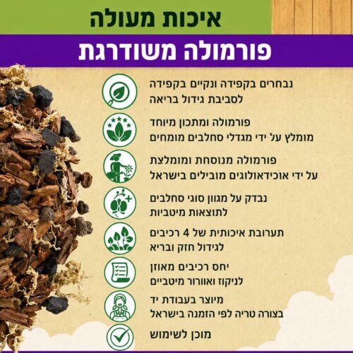 תערובת סחלבים איכותית פרמיום
