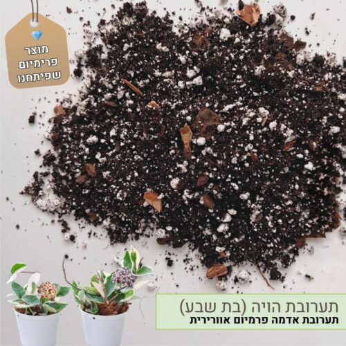 תערובת שתילה הויה (בת שבע)