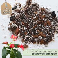 תערובת שתילה לאנטוריום