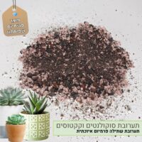 תערובת שתילה לסוקולנטים וקקטוסים תערובת שתילה לסוקולנטים וקקטוסים