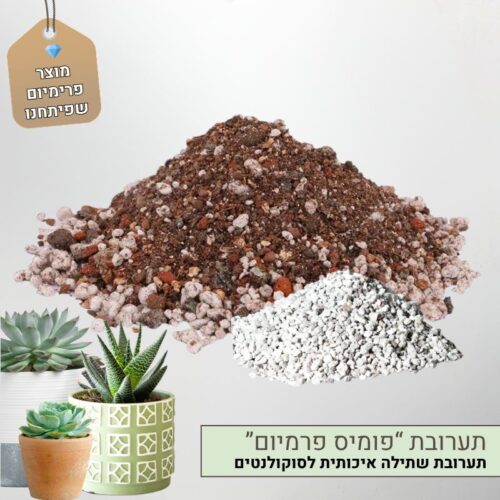 תערובת שתילה לסוקולנטים וקקטוסים פומיס פרמיום