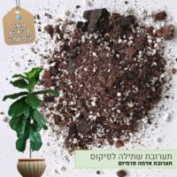 תערובת שתילה לפיקוס תערובת שתילה לפיקוס